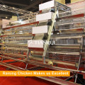 A Type Chicken Use Galvanized Automatic Poultry Layer Farming Equipment